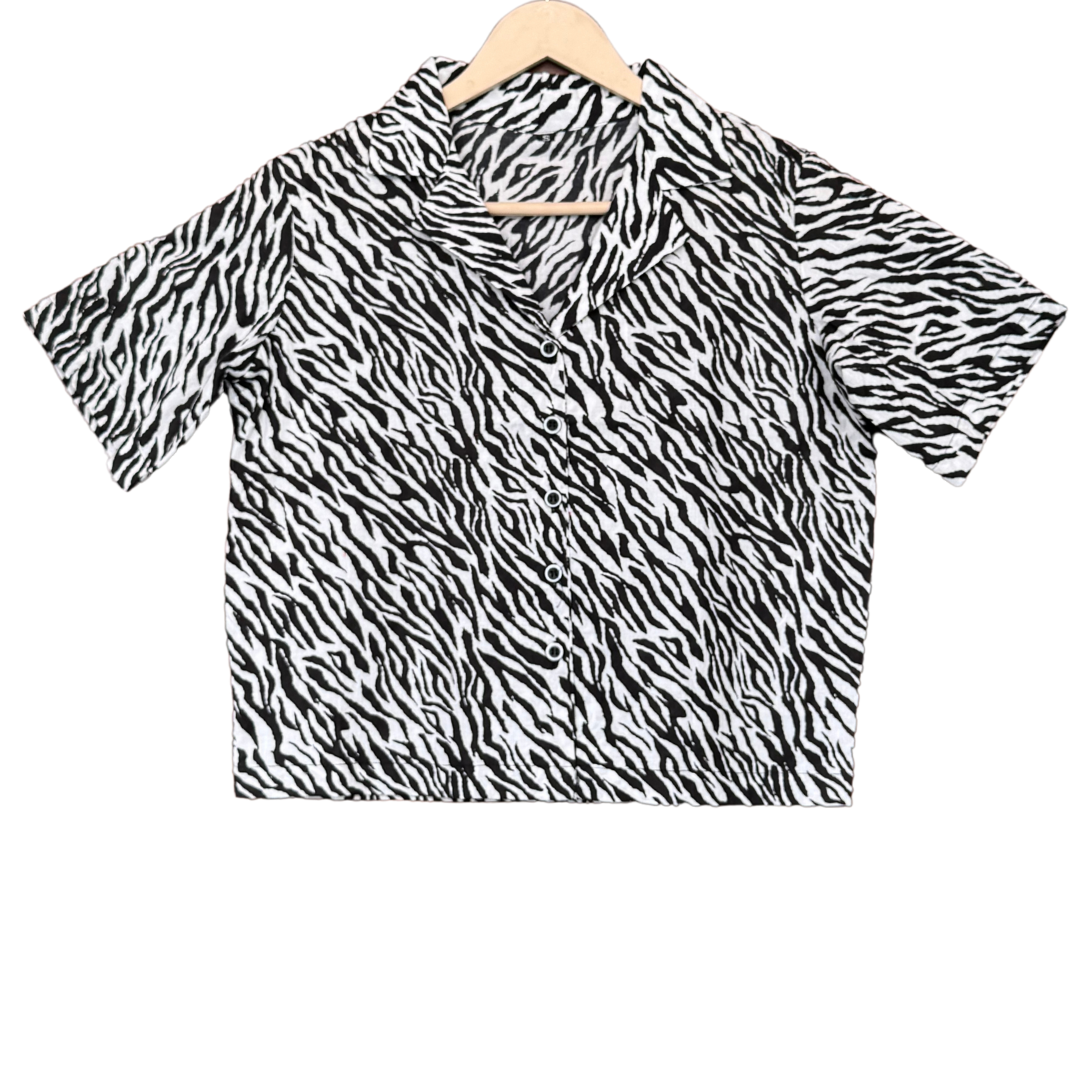 Black and White Zebra Affair