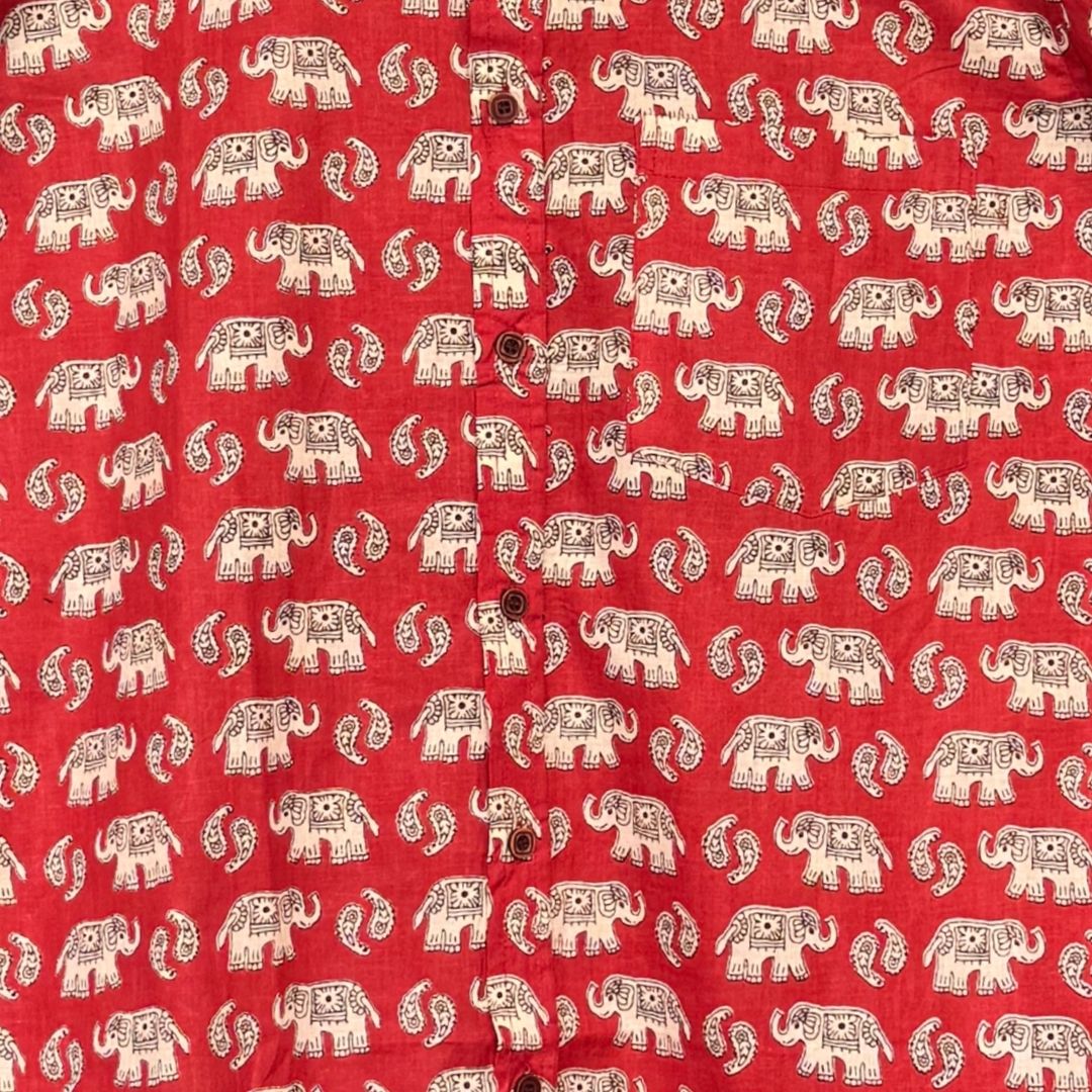 Elephant Echoes